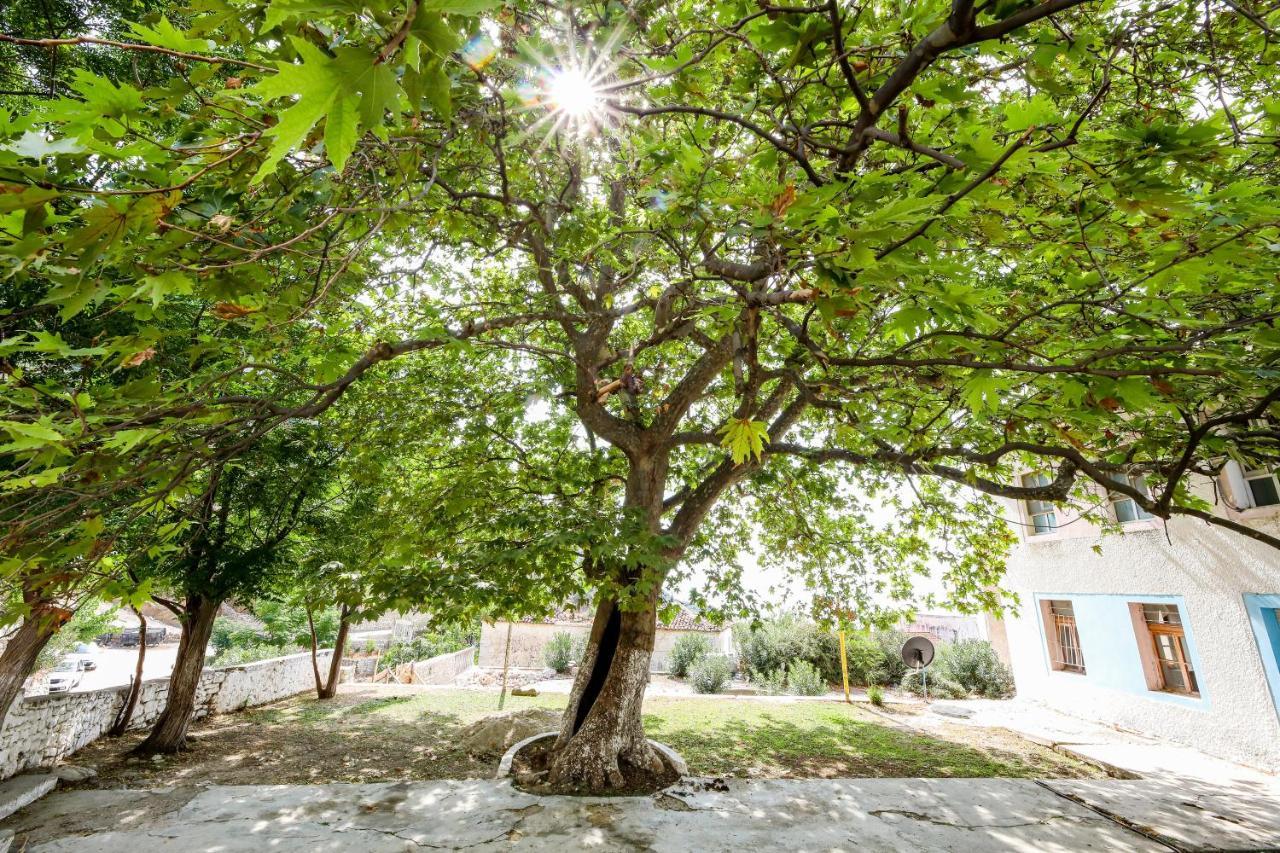 Vila Leon - Old Qeparo - 6 People 外观 照片